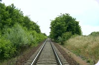 Одеські залізничники різними видами ремонту оздоровлять майже 125 км колії