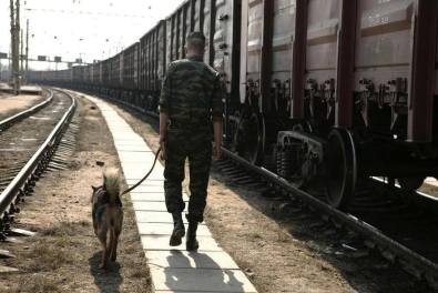 Працівники відомчої воєнізованої охорони Одеської магістралі розкрили 108 випадків крадіжок